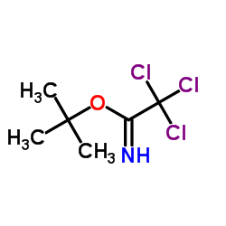 叔丁基 2,2,2-三氯乙酰亚胺酯