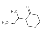 2-仲-丁基环己酮