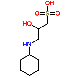 3-(环己胺)-2-羟基-1-丙磺酸 