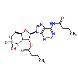 二丁酰环磷腺苷钙