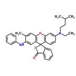 3-N-异戊基-N-乙氨基-6-甲基-7-苯氨基荧烷