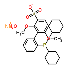 2'-二环己基膦基-2,6-二甲氧基-1,1'-联苯基-3-磺酸钠水合物
