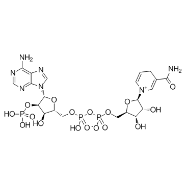 beta-烟酰胺腺嘌呤双核苷酸磷酸盐