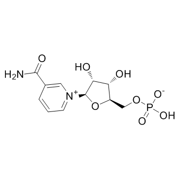 β-烟酰胺单核苷酸  NMN