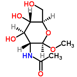 甲基-2-乙酰氨基-2-脱氧-beta-D-葡萄糖苷