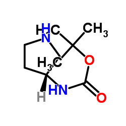 (R)-3-叔丁氧羰基氨基吡咯烷