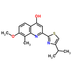 2-(4-异丙基噻唑-2-基)-7-甲氧基-8-甲基喹啉-4-醇