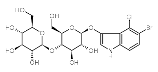 5-溴-4-氯-3-吲哚-beta-纤维二糖苷