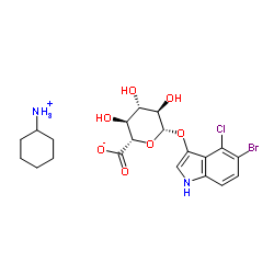 5-溴-4-氯-3-吲哚基-β-D-葡萄糖苷酸环己铵盐  X-gluc