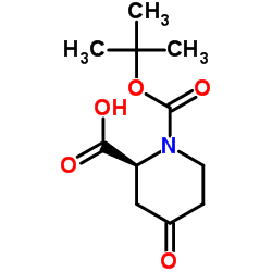 (2S)-1-Boc-4-氧代哌可酸