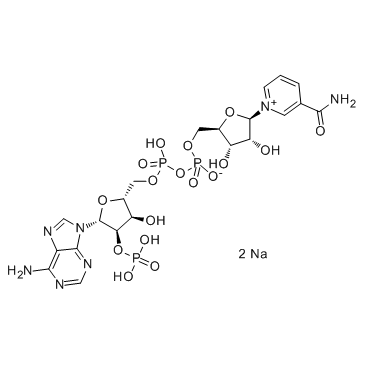 β-烟酰胺腺嘌呤二核苷酸磷酸（氧化型）NADP