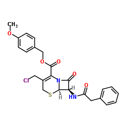 7-苯乙酰氨基-3-氯甲基-4-头孢烷酸对甲氧基苄酯	