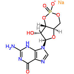 鸟苷-3ˊ,5ˊ-环磷酸一钠盐	