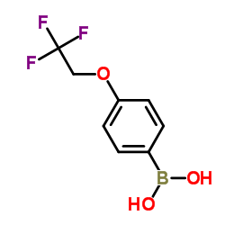 4-(2,2,2-三氟乙氧基)苯基硼酸