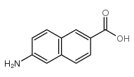 6-氨基-2-萘酸