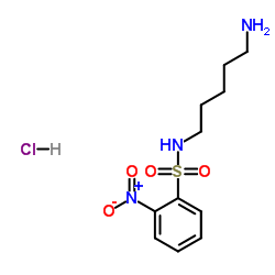 N-(5-氨戊基)-2-硝基苯磺酰胺盐酸盐