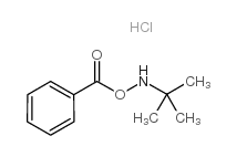 O-苯甲酰基-N-叔丁基羟胺盐酸盐