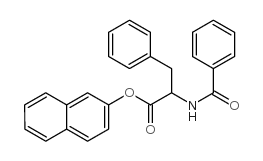 N-苯甲酰-DL-苯丙氨酸-2-萘酯