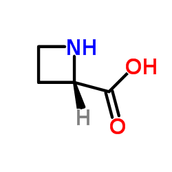 (S)-(-)-2-羧基环丁胺	