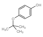 4-(叔丁氧基)苯酚