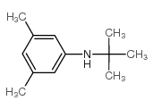 N-叔丁基-3,5-二甲基苯胺