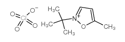 N-叔丁基-5-甲异唑高氯酸盐