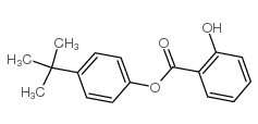 水杨酸-4-叔丁基苯酯