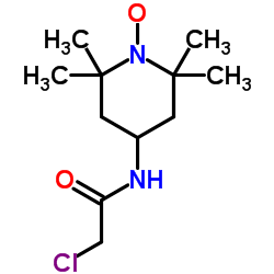 4-(2-氯乙酰氨基)-2,2,6,6-四甲基哌啶-1-氧基自由基