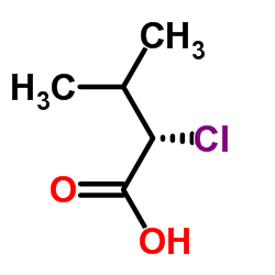 (S)-2-氯-3-甲基丁酸