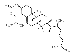胆固醇异丁基碳酸盐