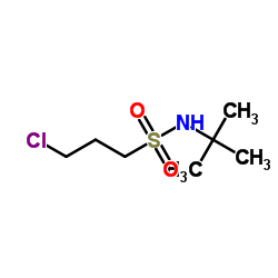 N-叔丁基-3-氯丙烷-1-磺酰胺	