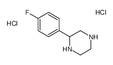 2-(4-氟苯基)哌嗪二盐酸盐	