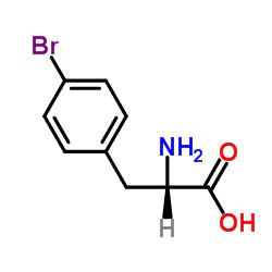 L-4-溴苯丙氨酸	