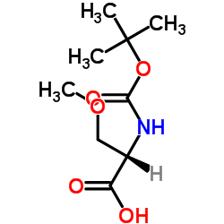 保护的甲基-L-丝氨酸二环己基铵盐	