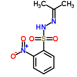 2-硝基-N'-(2-亚丙基)-苯磺酰肼	