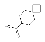 螺环[3.5]壬烷-7-羧酸	