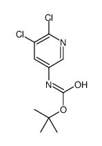 5,6-二氯吡啶-3-氨基甲酸叔丁酯	