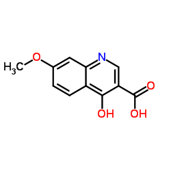 4-羟基-7-甲氧基喹啉-3-羧基 酸	