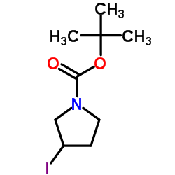1-BOC-3-碘吡咯烷	