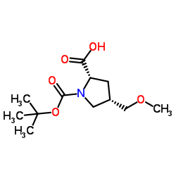 (2S,4S)-4-(甲氧基甲基)-1,2-吡咯烷二甲酸 1-叔丁基酯	