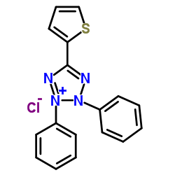 2,3-二苯基-5-(2-噻吩基)氯化四氮唑