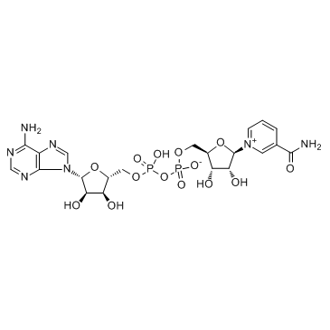 β-烟酰胺腺嘌呤二核苷酸（氧化型） NAD